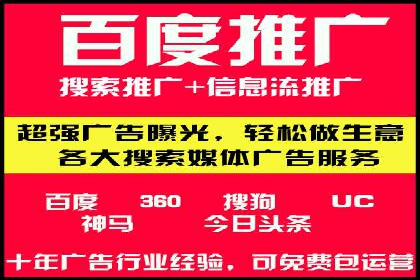 百度竞价包年服务：某行业领导品牌的成功故事